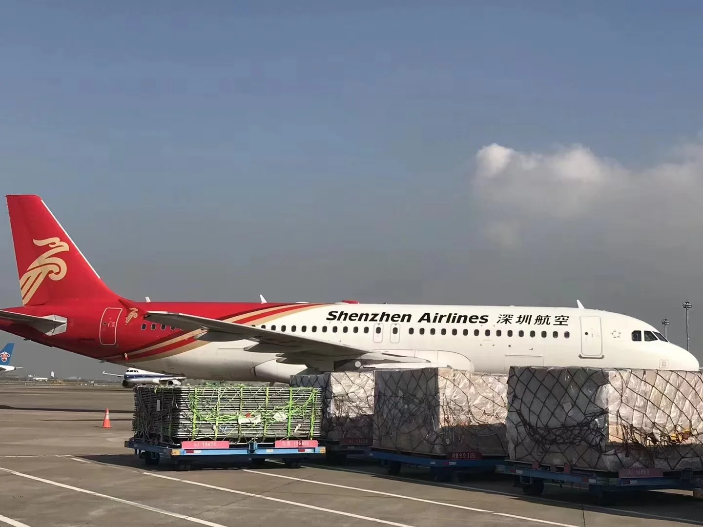 Air freight cargo pallets beside aircraft